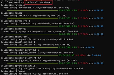 How to Install, Run, and Connect to Jupyter Notebook .